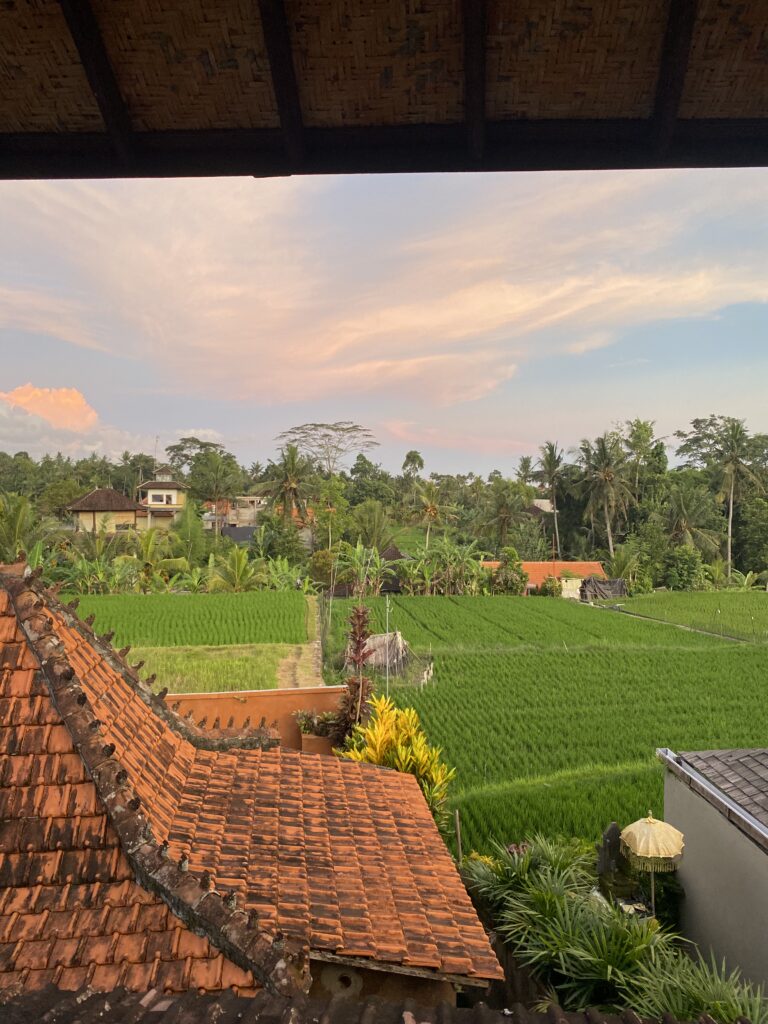 Les informations importantes à connaître sur Bali img 5430